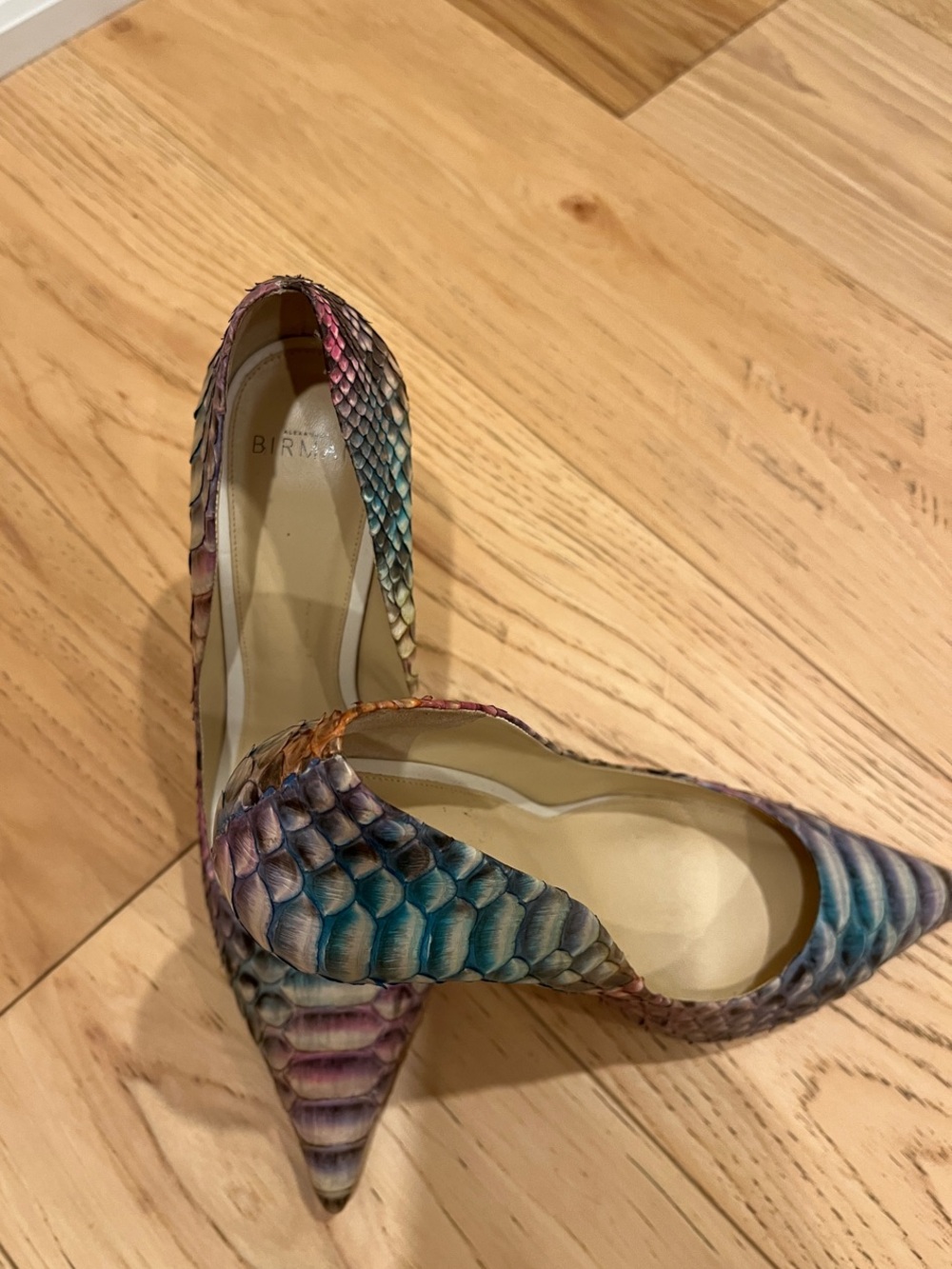 Alexandre Birman Multicolor Genuine Python Leather Pointed-Toe Pumps
